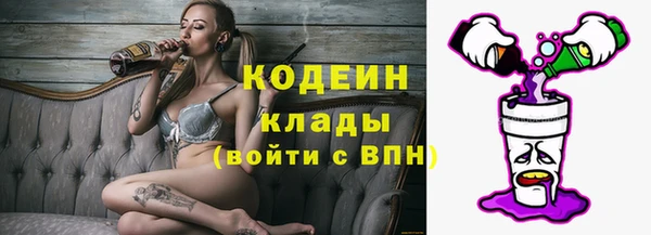 прущий лед Каменка