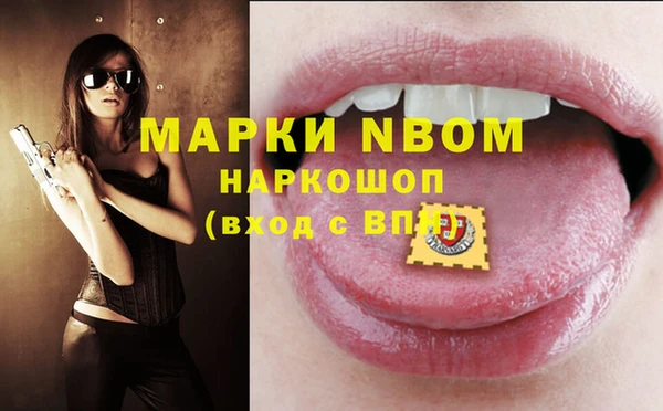прущий лед Каменка