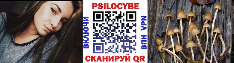 Галлюциногенные грибы мицелий  Купить где  Высоковск 